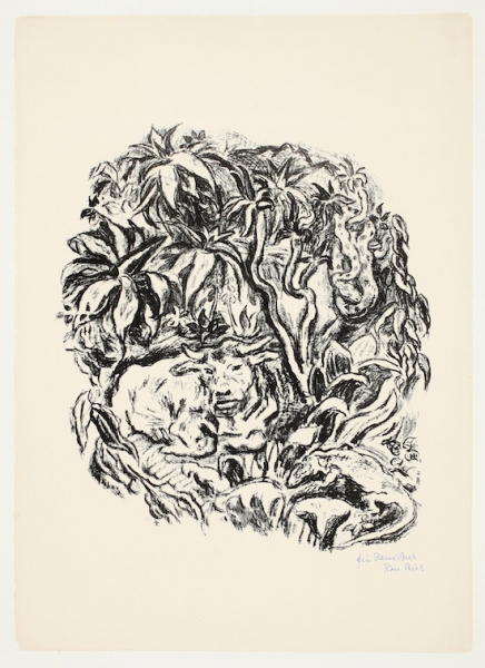 TIERE IM URWALD (RUHENDER BÜFFEL)